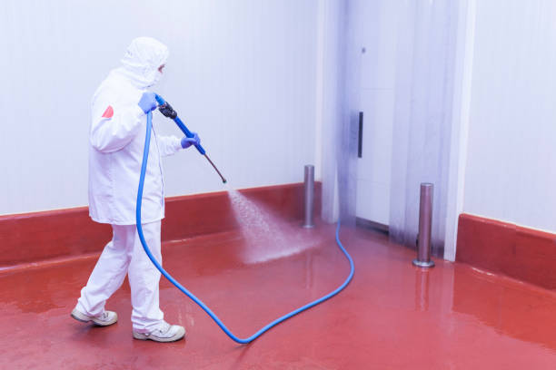 Best Brick and Stone Cleaning in Hull, IA